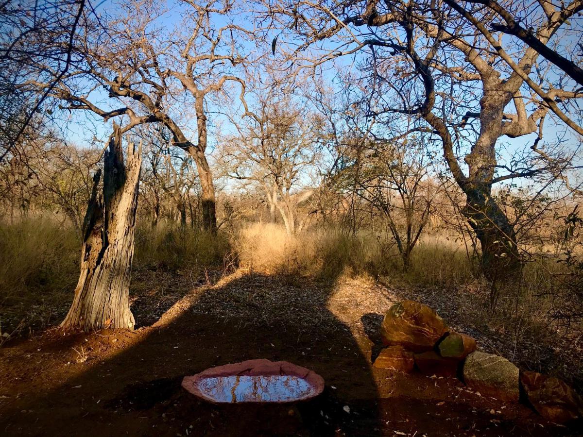 Villa The Bush Hut Hoedspruit Exterior foto