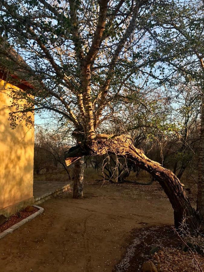 Villa The Bush Hut Hoedspruit Exterior foto